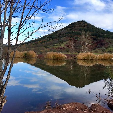 Proche Lac Du Salagou, Chambre Agreable Avec Salle D'Eau Et Wc Prive Lacoste  Екстер'єр фото