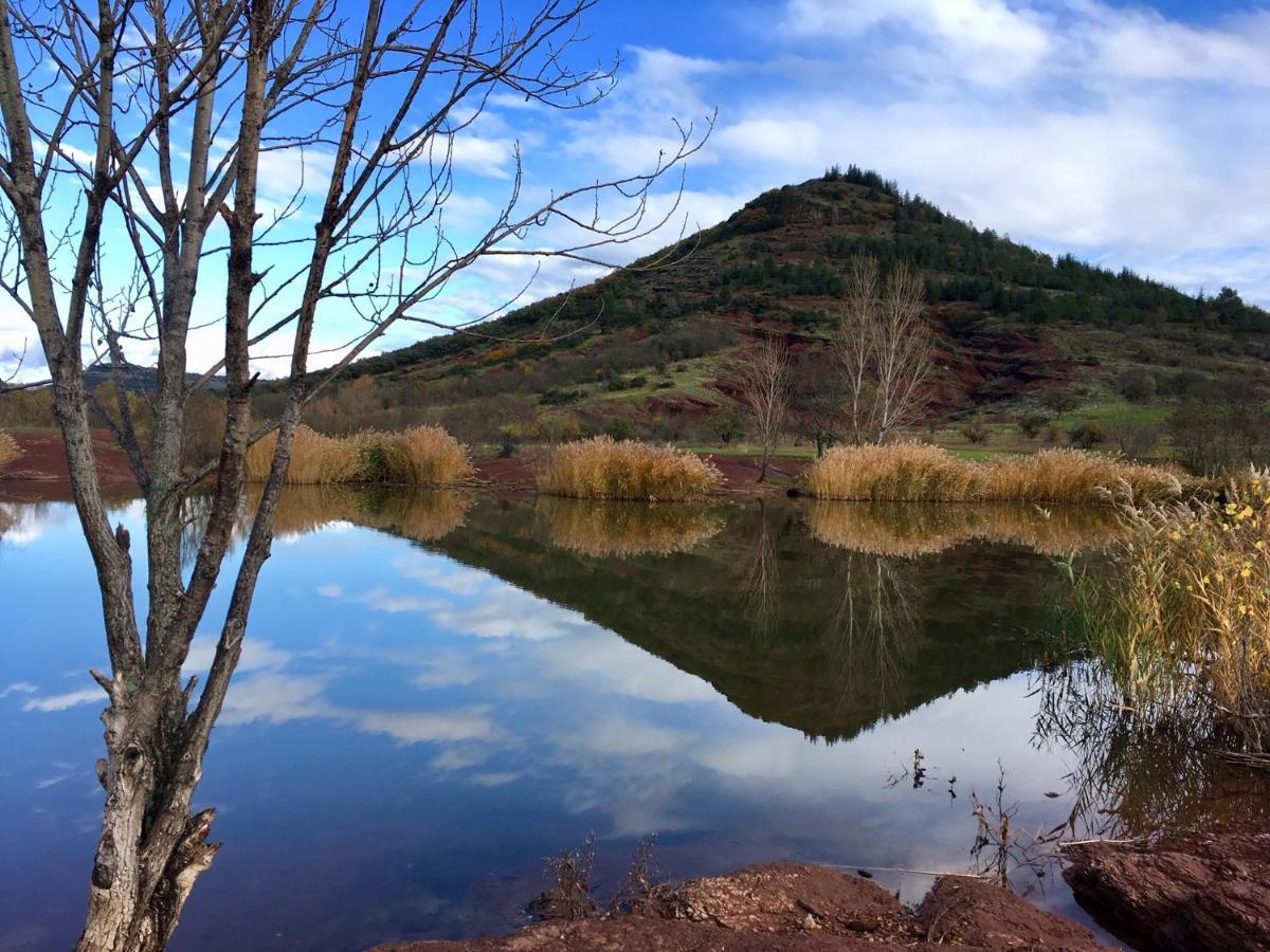 Proche Lac Du Salagou, Chambre Agreable Avec Salle D'Eau Et Wc Prive Lacoste  Екстер'єр фото